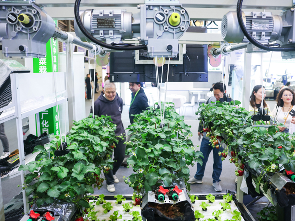 THE 27th HORTIFLOREXPO IPM SHANGHAI (3)