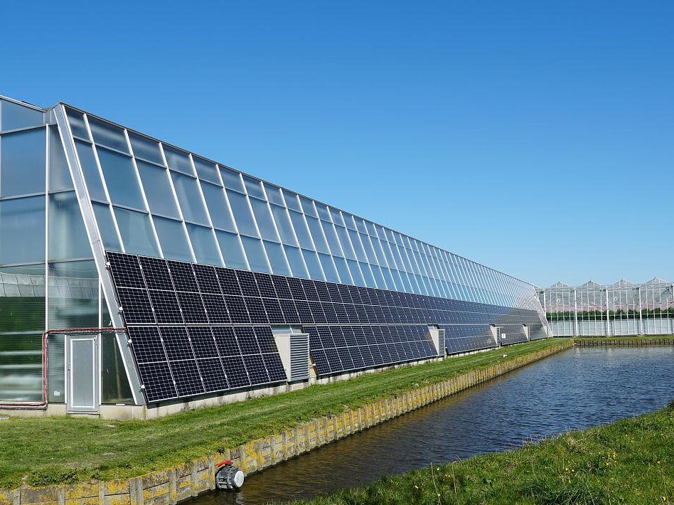 Panda solcellsväxthus (3)