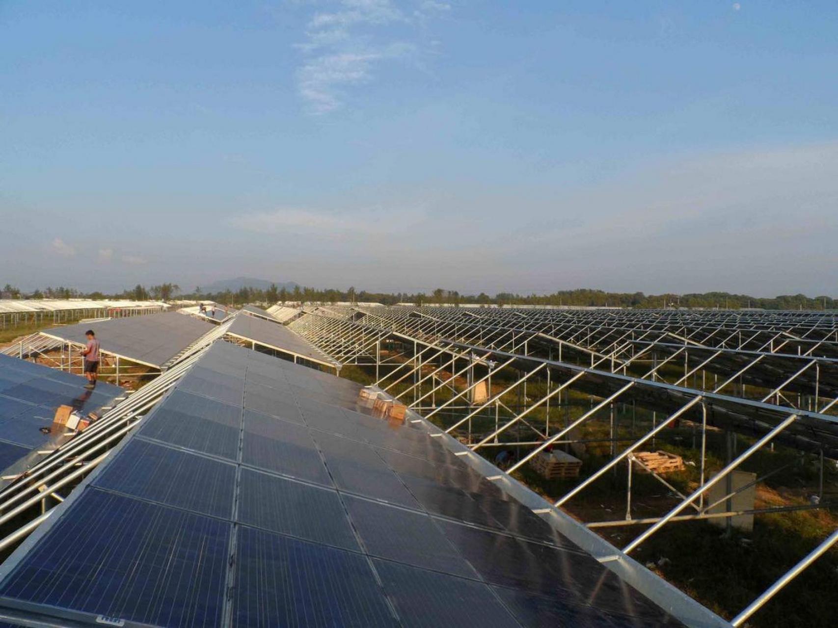 Panda solcellsväxthus (4)