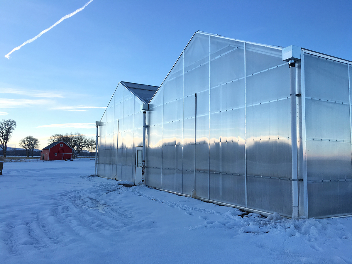 polycarbonate sheet greenhouse (1)