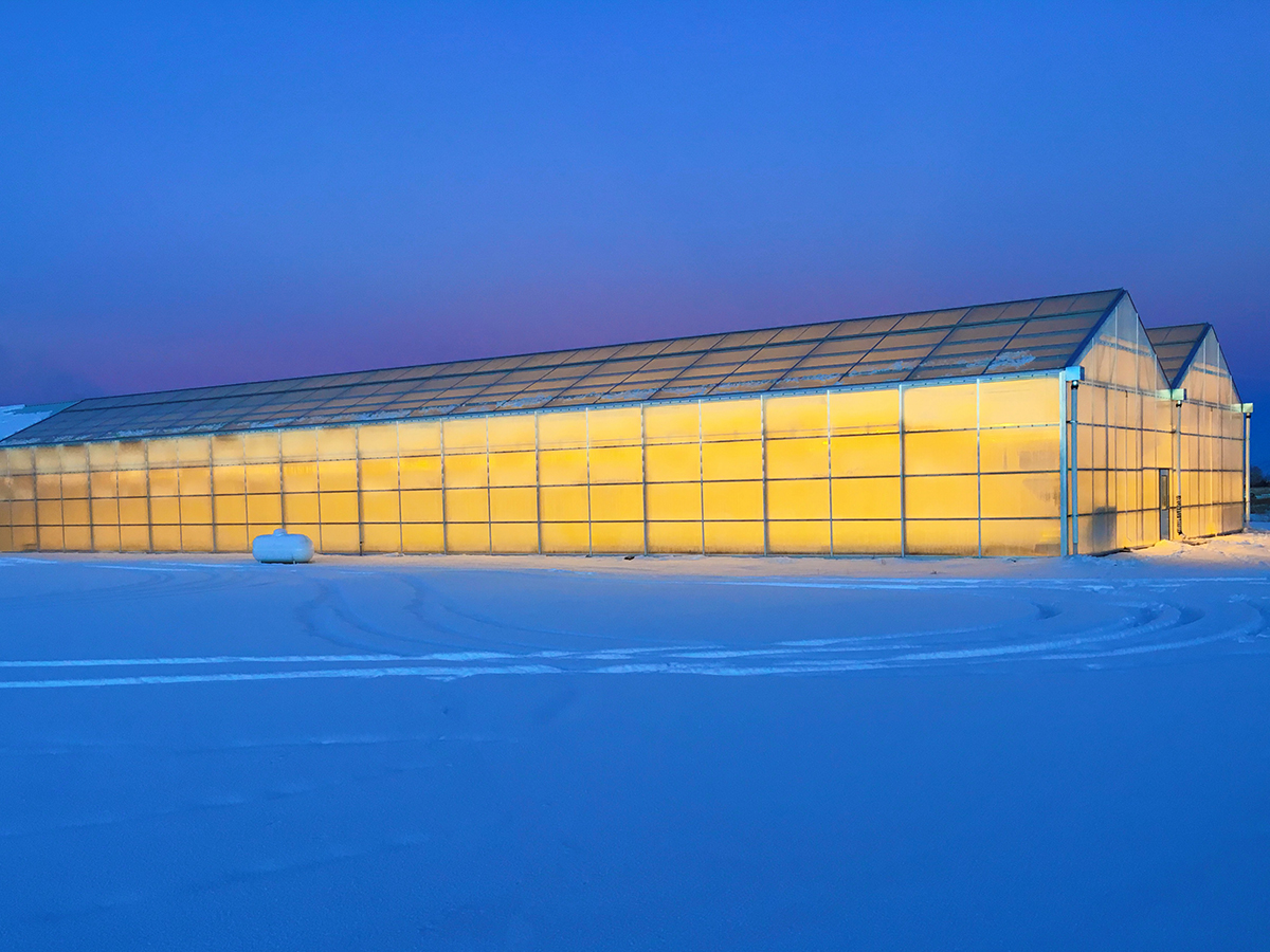 polycarbonate sheet greenhouse (6)
