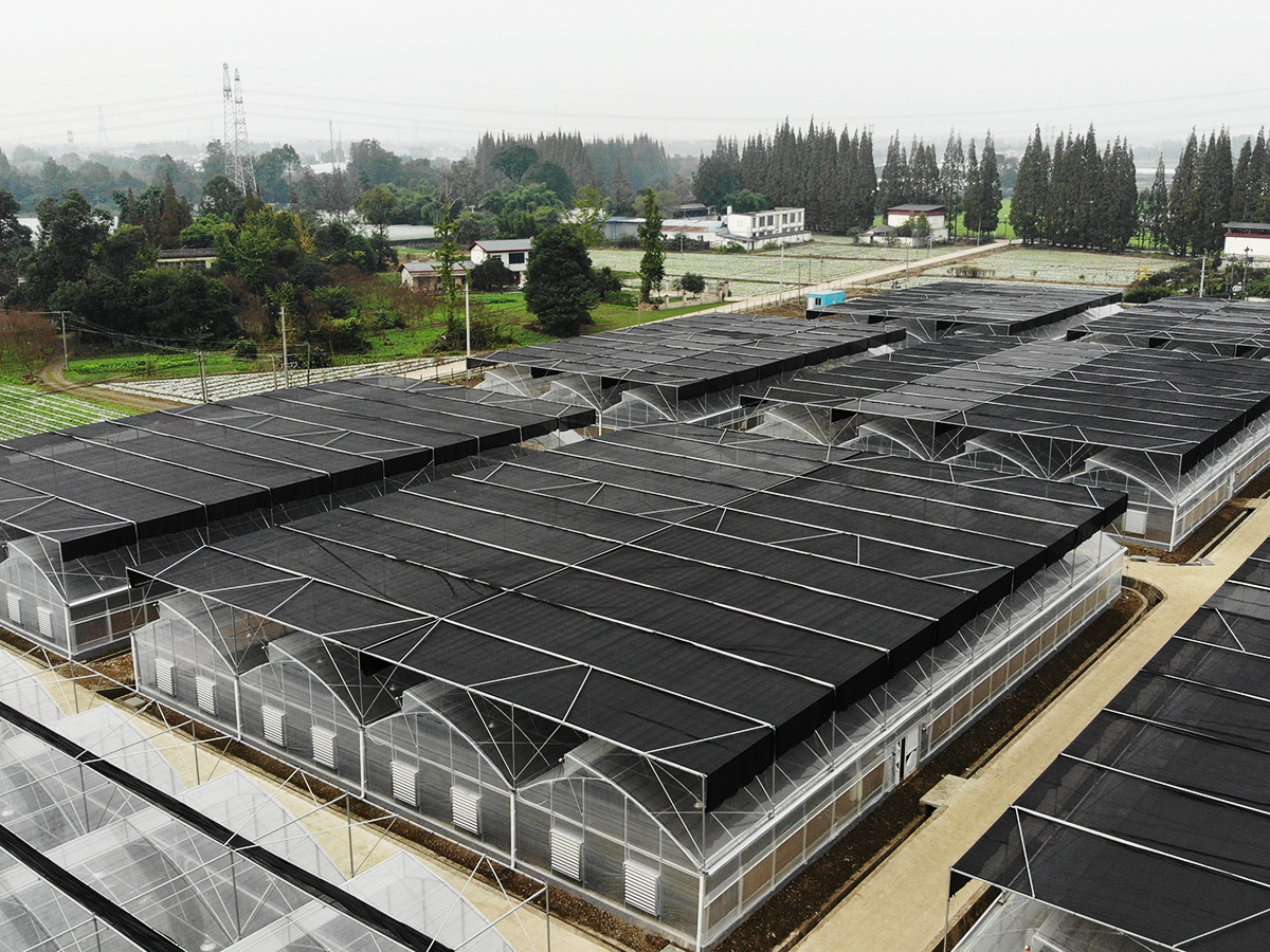 created by dji camera