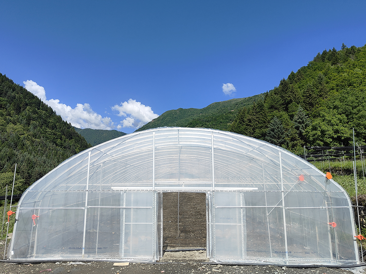 tunnel greenhouse (10)