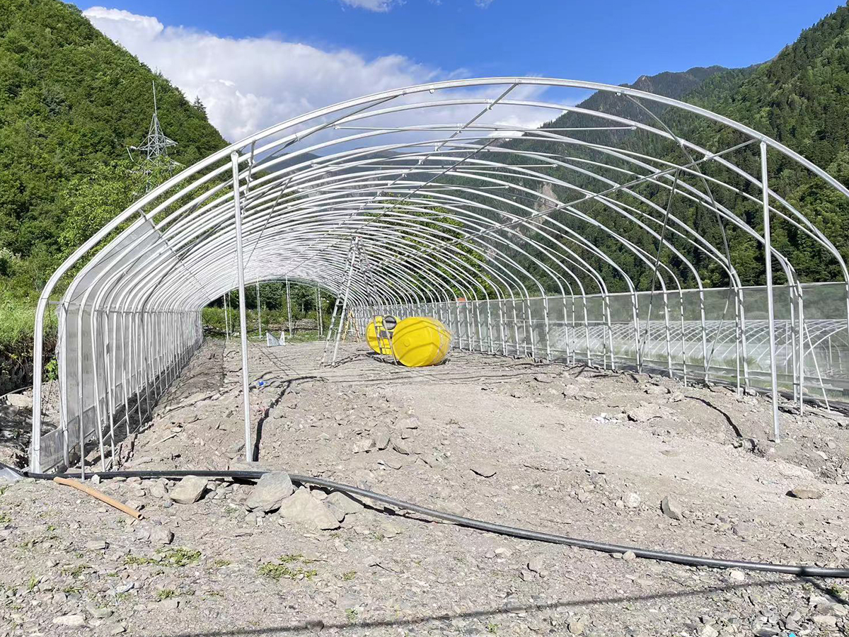 tunnel greenhouse