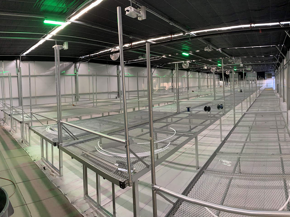 内遮阳保温幕布